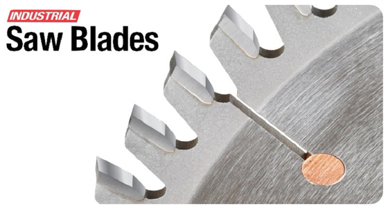 TCT diskinis pjūklas TCT kružna testera TCT Circular Saw Blades top quality industrial use for cutting cast iron body